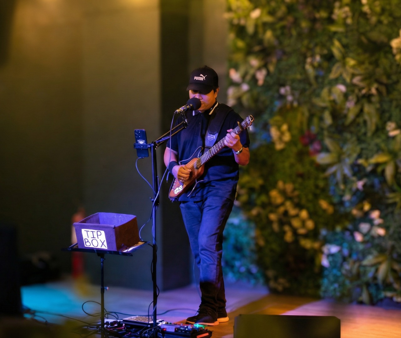 정원에서의 어쿠스틱 공연